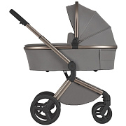 Детская коляска Anex Flo 2 в 1 Charm