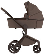 Детская коляска Anex Flo 2 в 1 Browny