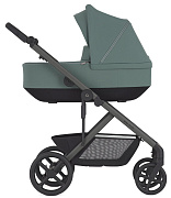 Детская коляска Anex Modu 2 в 1 Greeny