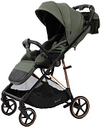 Прогулочная коляска Peppy Amici Green рама Gold