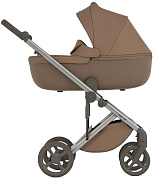 Детская коляска Anex Eli 2 в 1 без рюкзака Woody